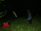 2004